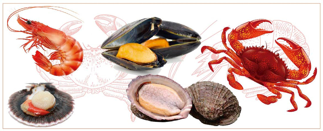 Beneficios de comer mariscos