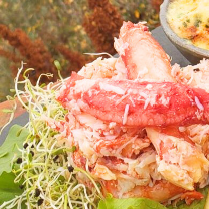 Carne de centolla cocida 300 g | Friosur